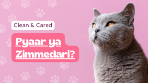 Care for Cats