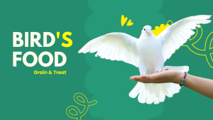 bird's food