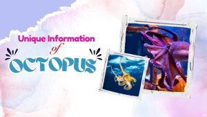 Octopus – Dunya Ka Sabse Intelligent Sea Creature?” | Science & Tech Review