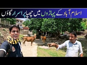 Journey to a mysterious village....desi traveller