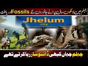 Millions years old fossils found.... By Rashad chaudhry