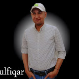 Ali Zulfikar