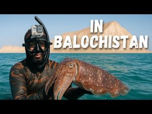 One day spearfishing in Balochistan... By Waqar Khan